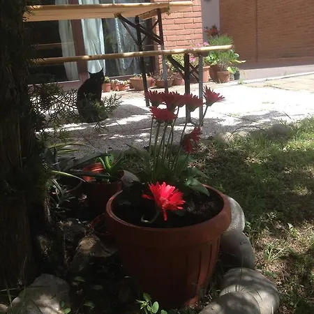 Casa Tomato Alojamento de Acomodação e Pequeno-almoço Lucca