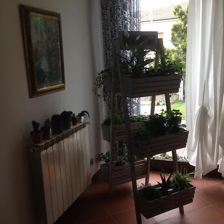 Alojamento de Acomodação e Pequeno-almoço Casa Tomato *