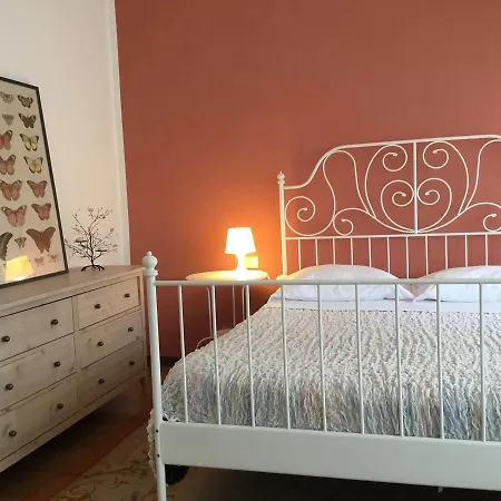 Casa Tomato *
